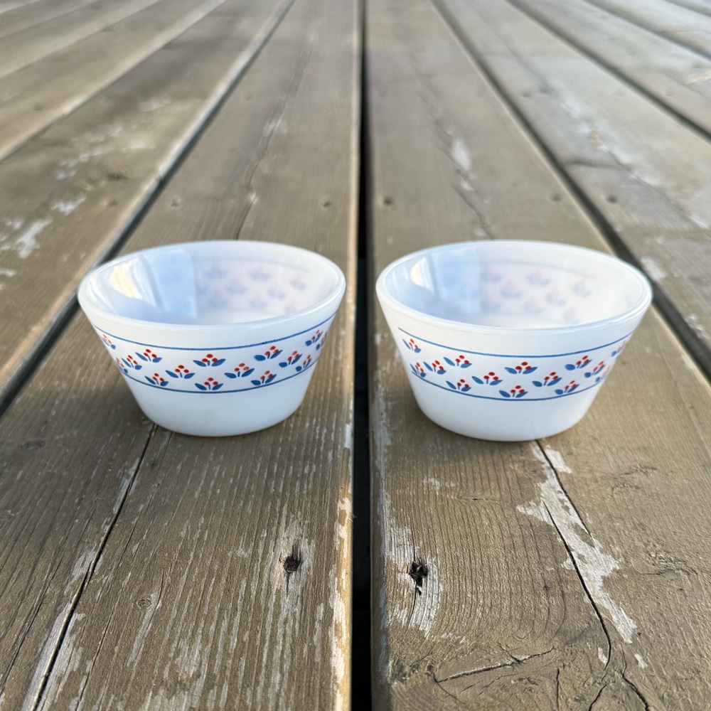 Set of Two Vintage Termo-Rey Blue and Red Floral Custard Cups Made in Brazil